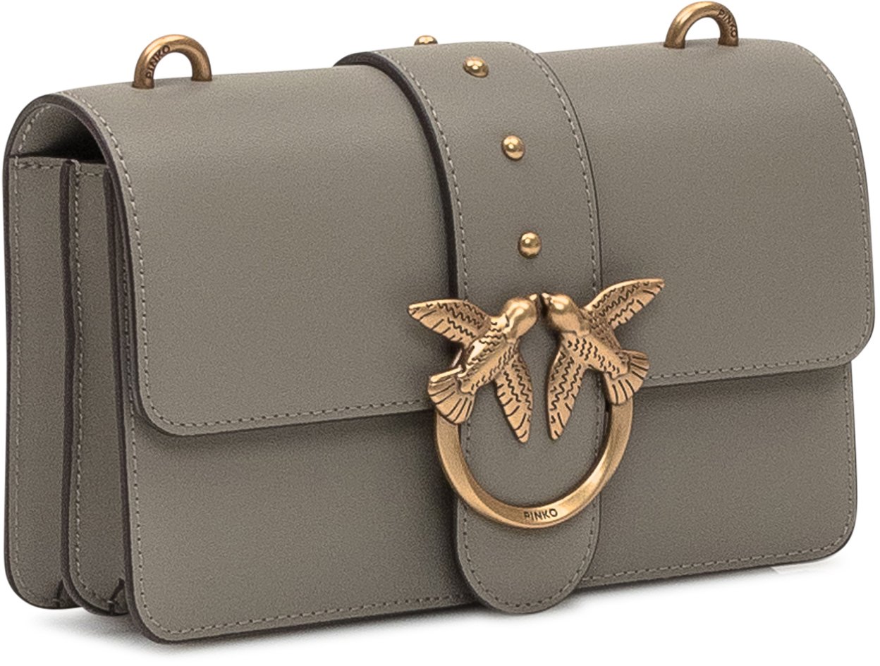 Pinko Bags Brown Bruin