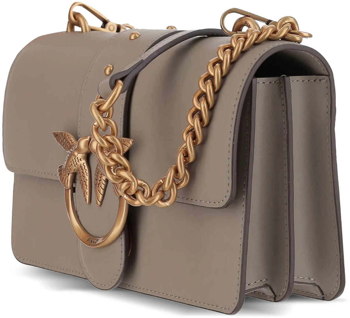 Pinko Bags Brown Bruin