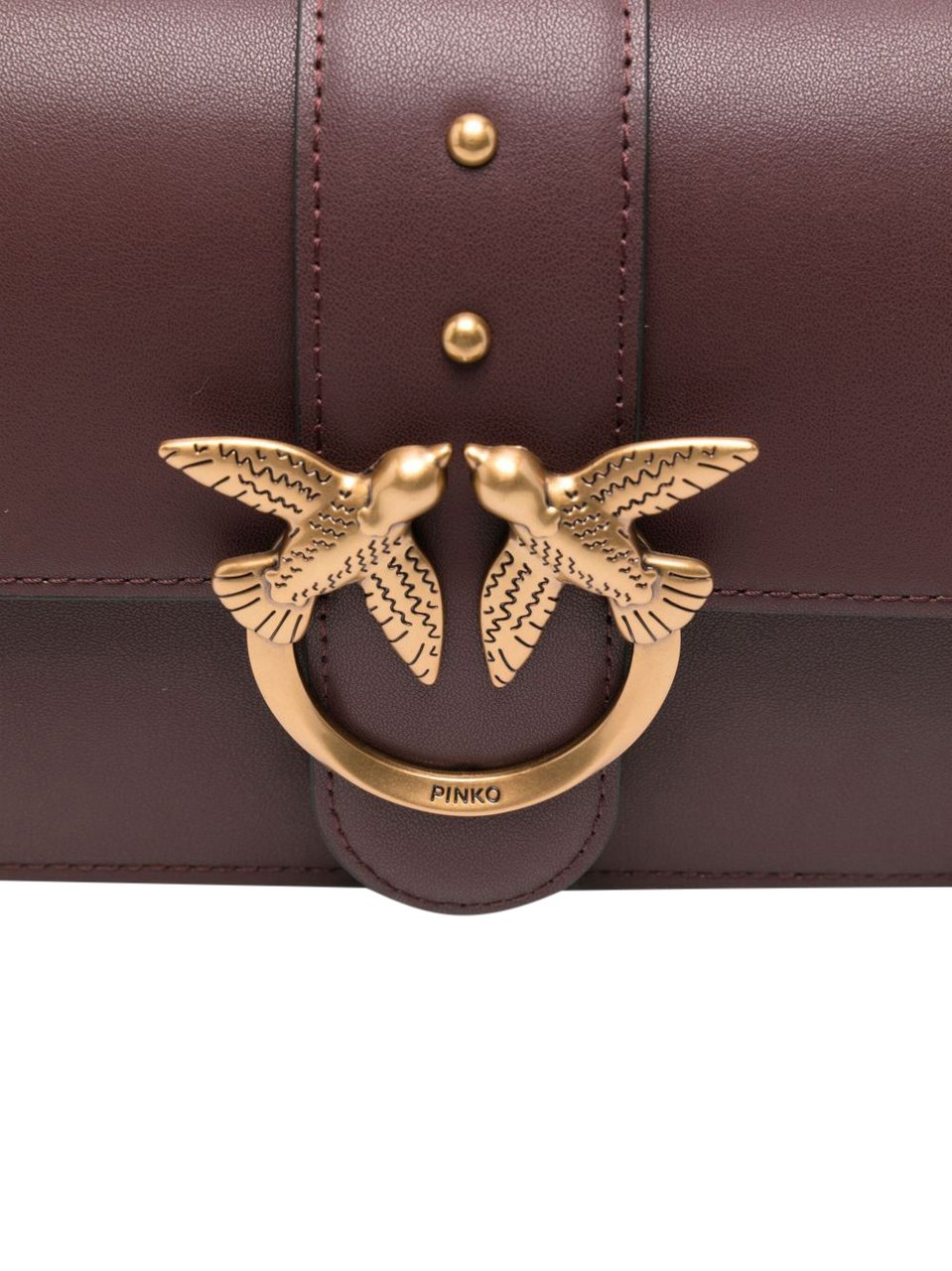 Pinko Bags Ciocc Amaro Divers