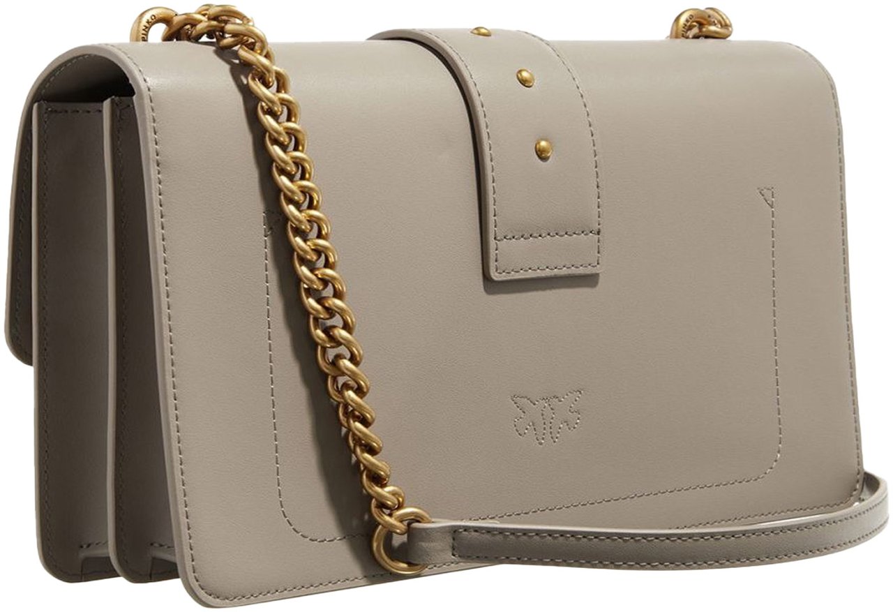 Pinko Bags Noceantique Gold Divers