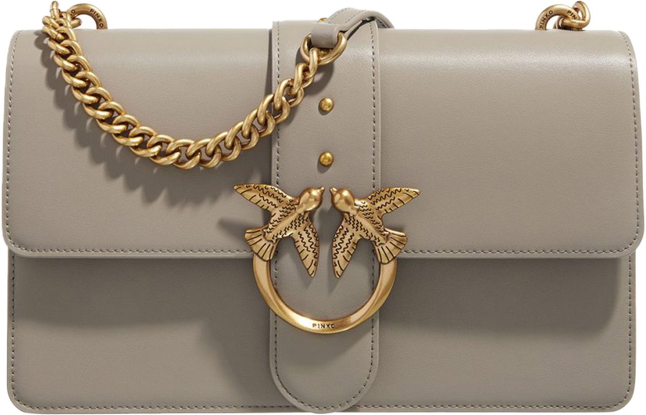 Pinko Bags Noceantique Gold Divers