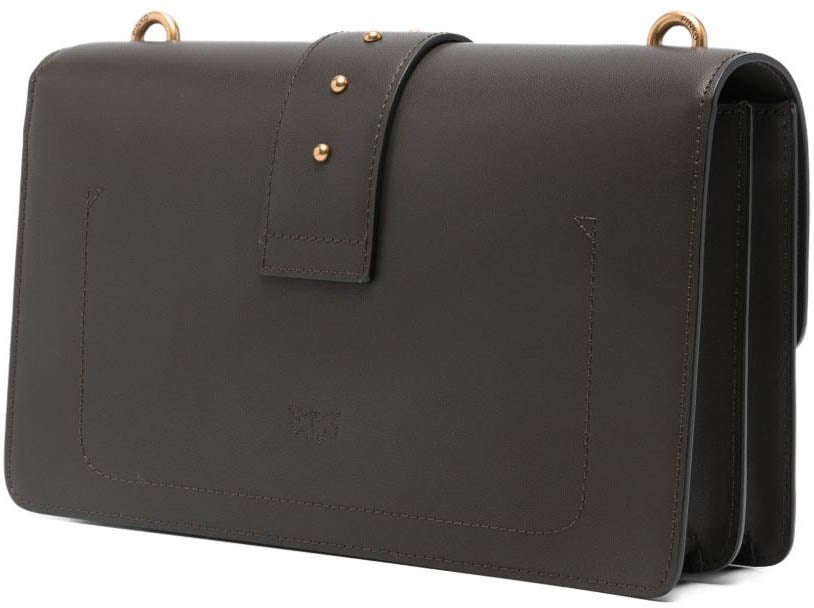 Pinko Bags Marrone Bruin