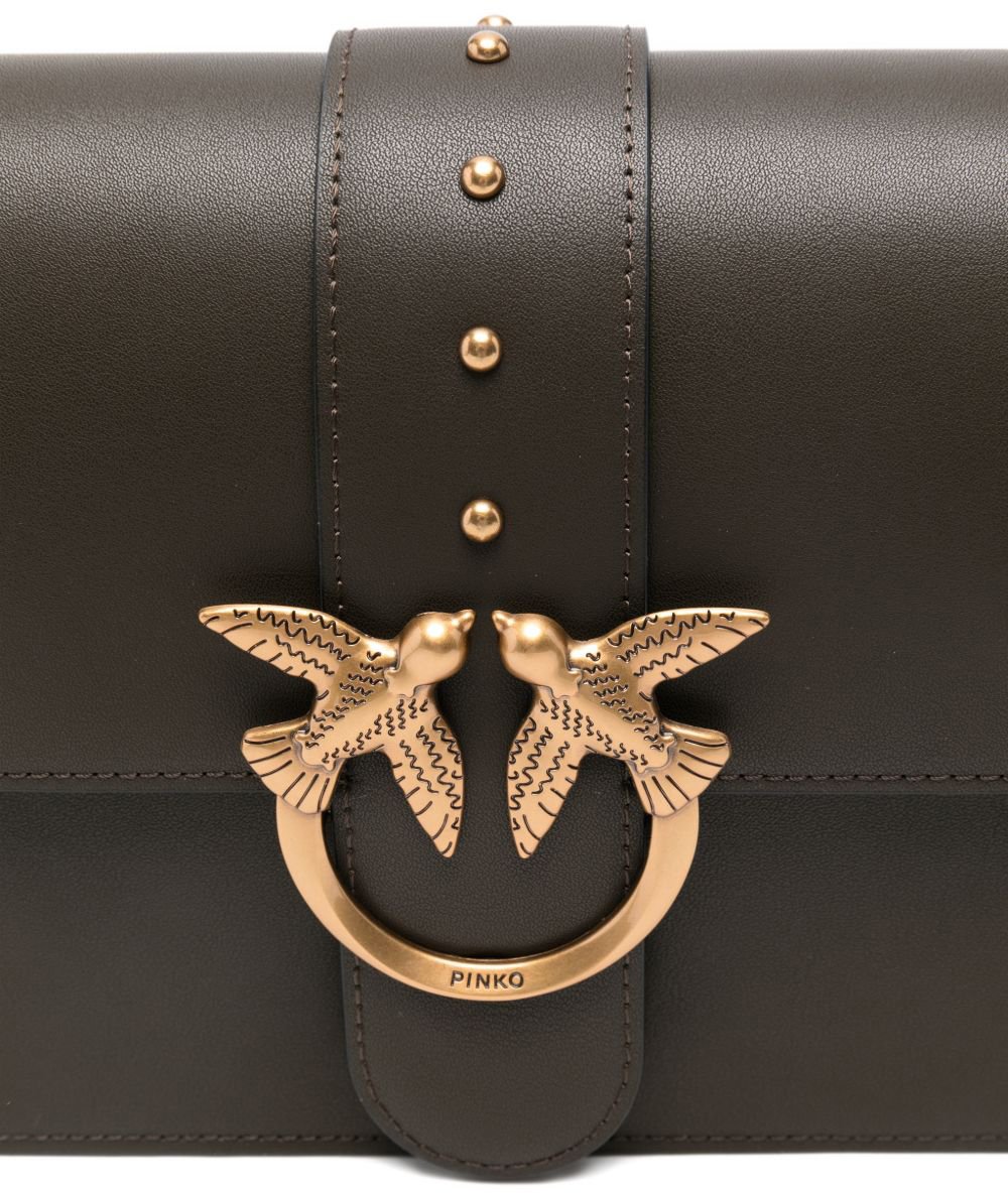 Pinko Bags Marrone Bruin
