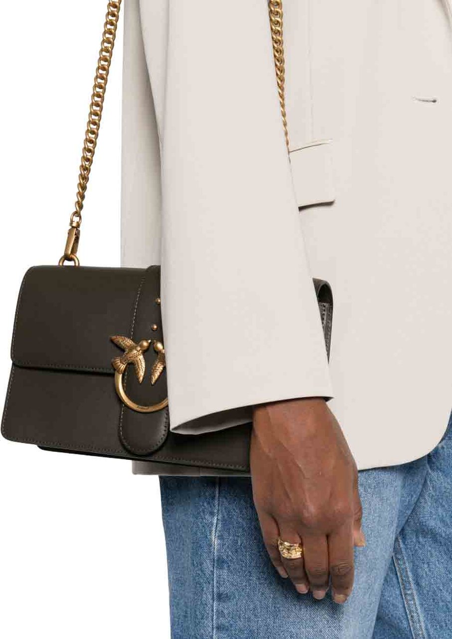 Pinko Bags Marrone Bruin