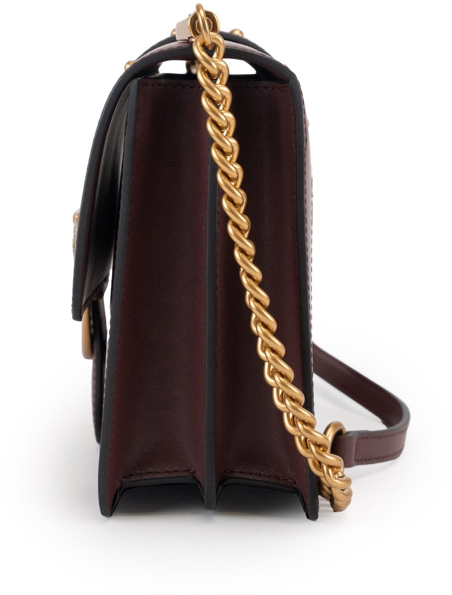 Pinko Bags Ciocc Amaroantique Gold Bruin