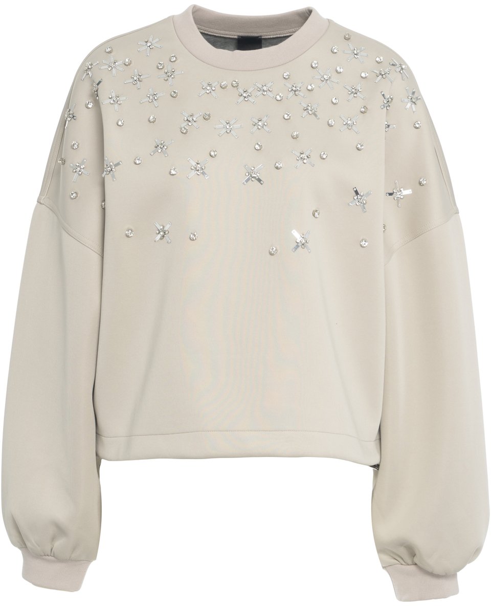 Pinko Felpa con strass Grijs
