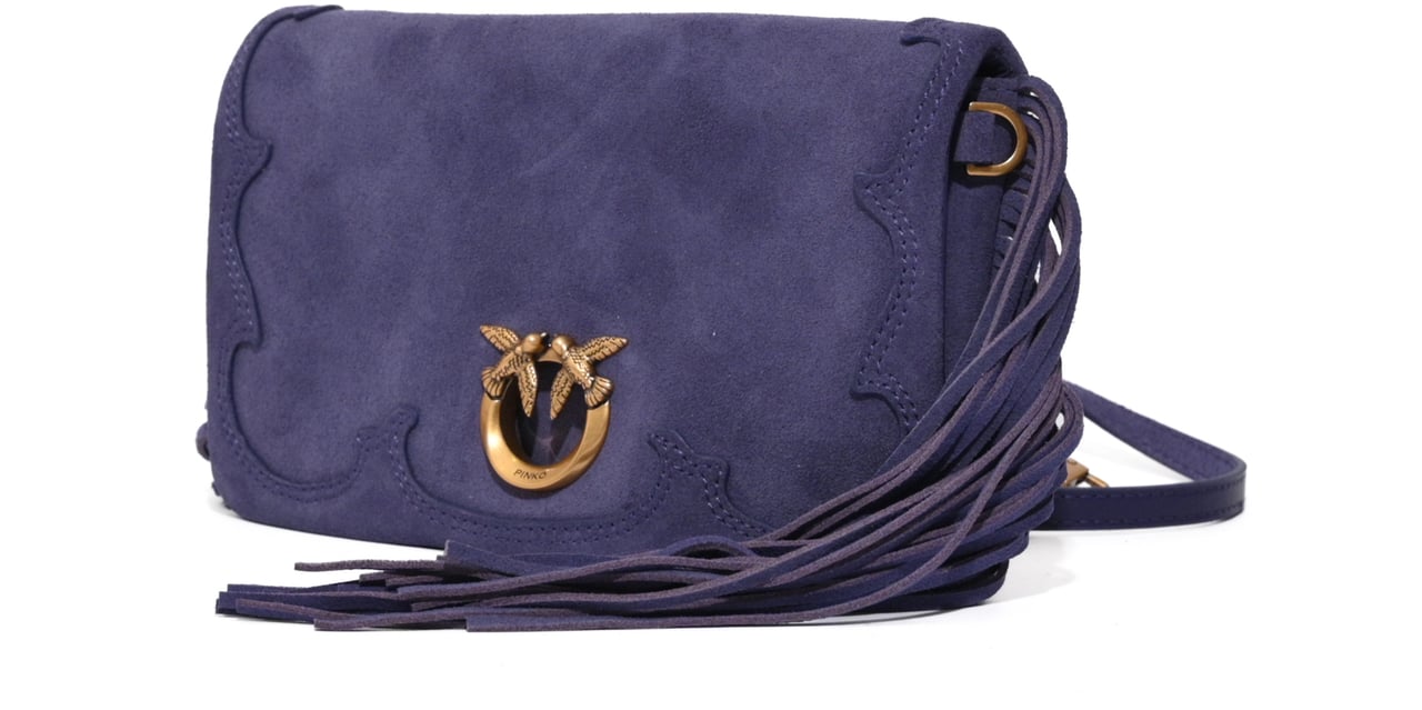 Pinko Bags Violaantique Gold Goud