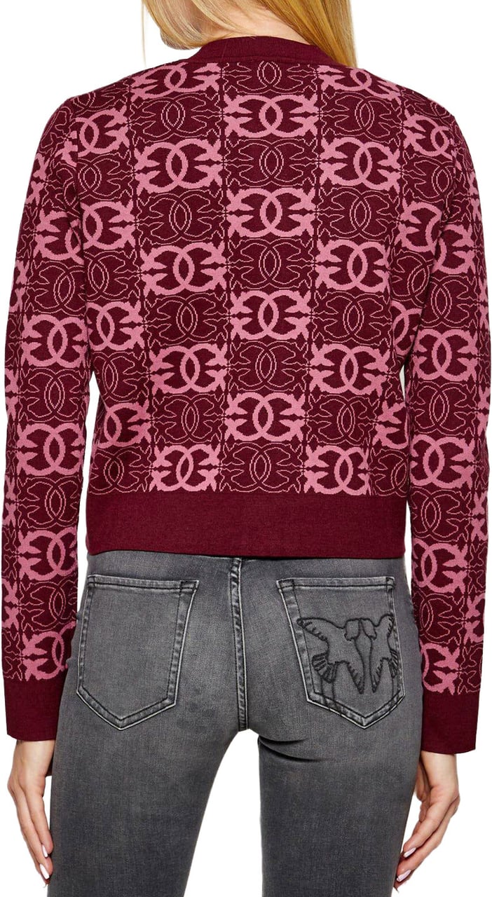 Pinko Cardigan Maroon Maroon