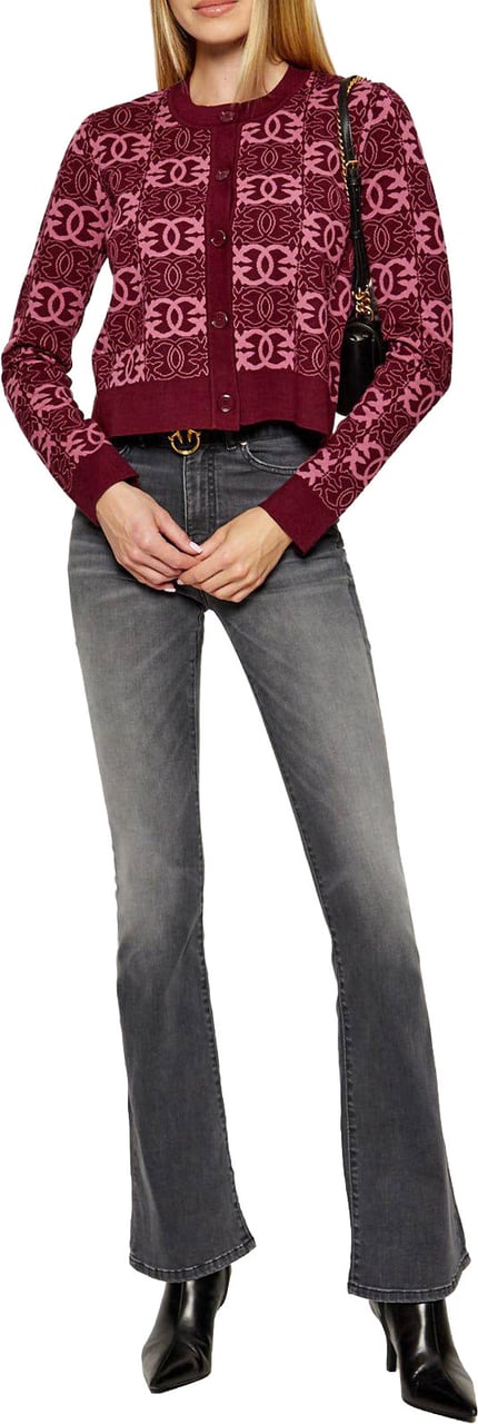 Pinko Cardigan Maroon Maroon