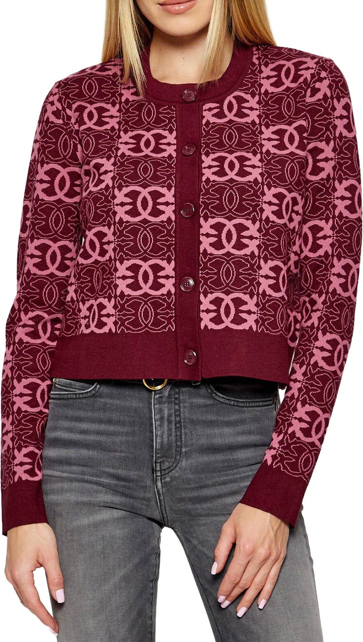Pinko Cardigan Maroon Maroon