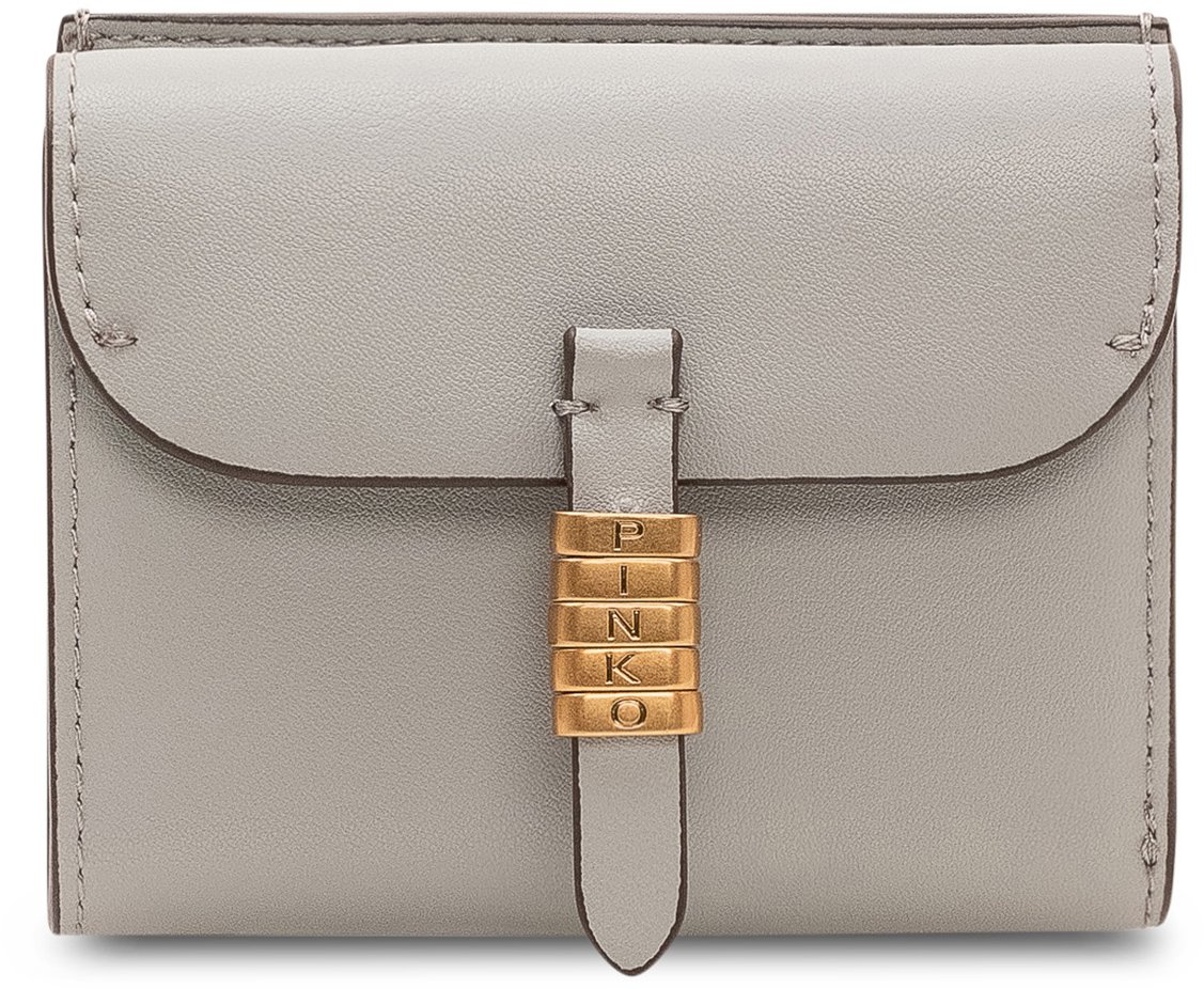 Pinko Portafoglio Saddle con Patta e Chiusura Frontale Taupe