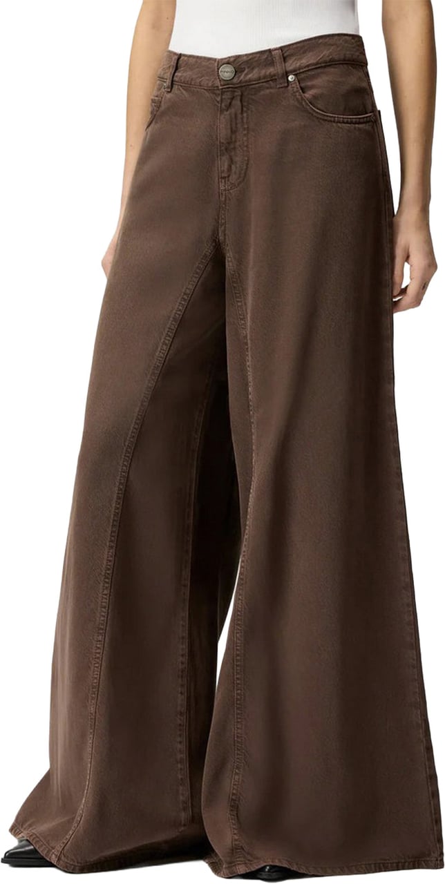 Pinko Jeans Brown Bruin