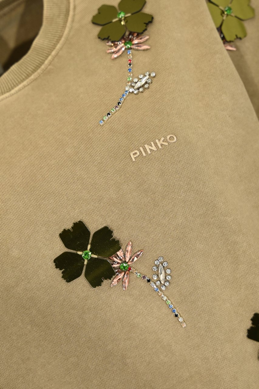 Pinko Sweaters Beigemacrocistide Beige