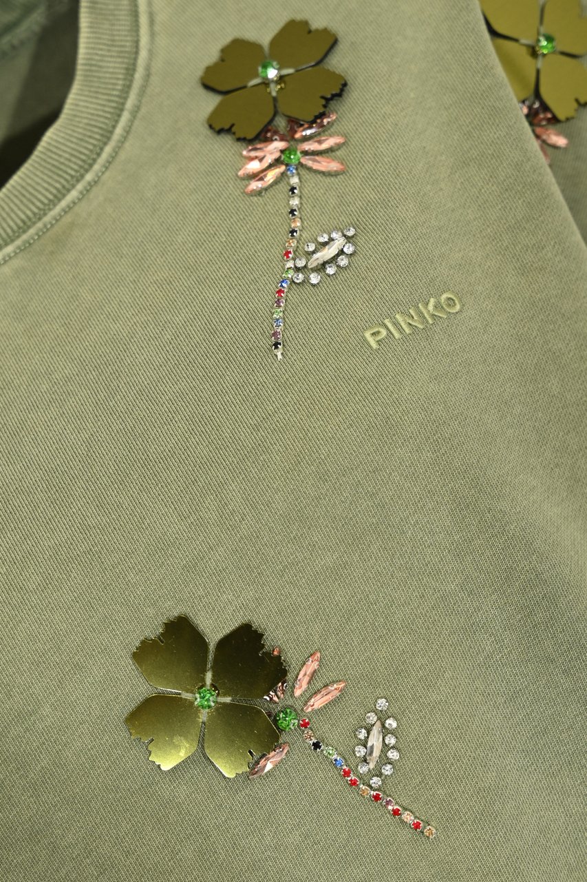 Pinko Sweaters Verde Vertiver Groen