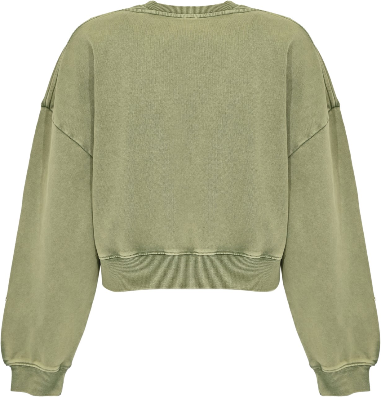 Pinko Sweaters Verde Vertiver Groen