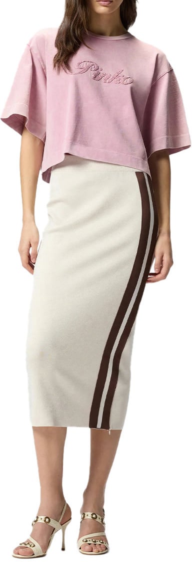 Pinko Skirts Gray Grijs