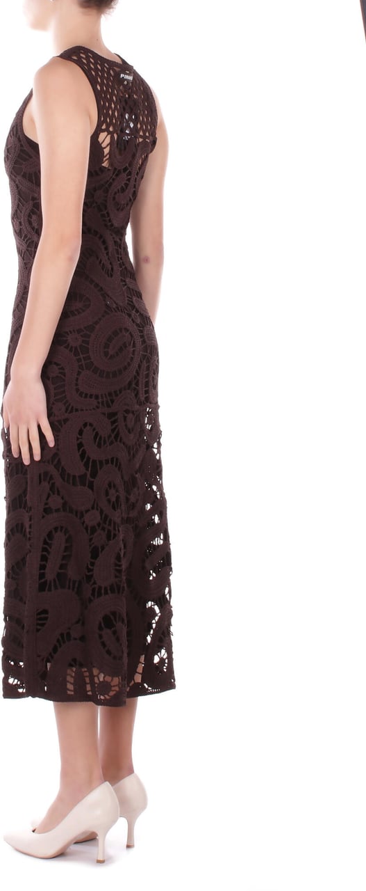 Pinko Dresses Brown Bruin