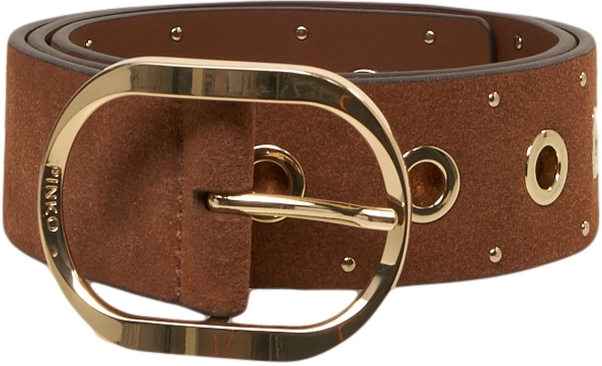 Pinko Suede belt Bruin