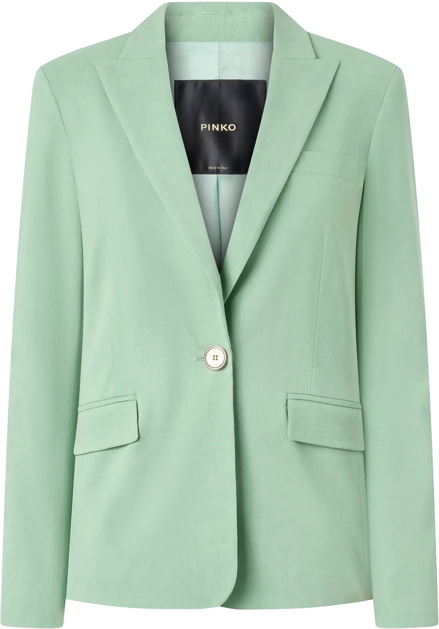 Pinko Jackets Ming Divers