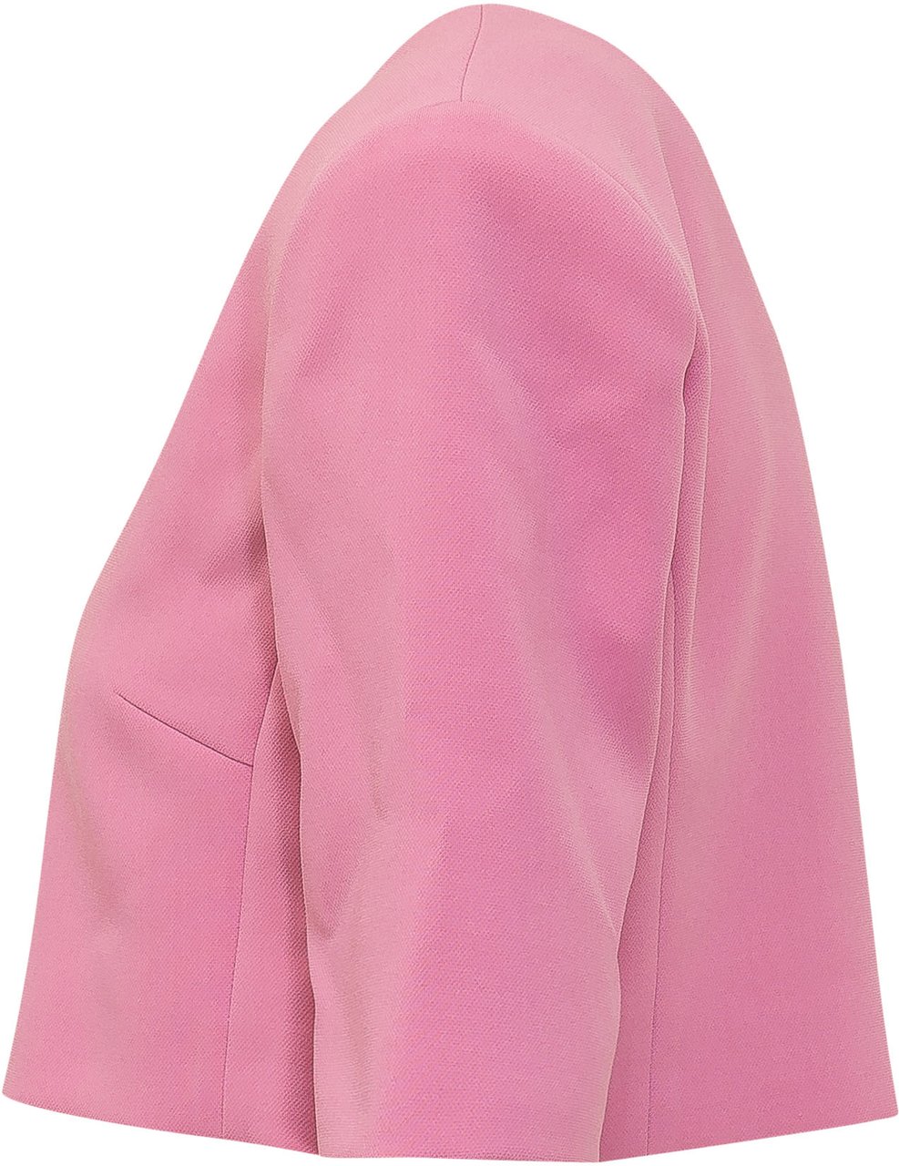 Pinko Spencer Platano Canvas Roze