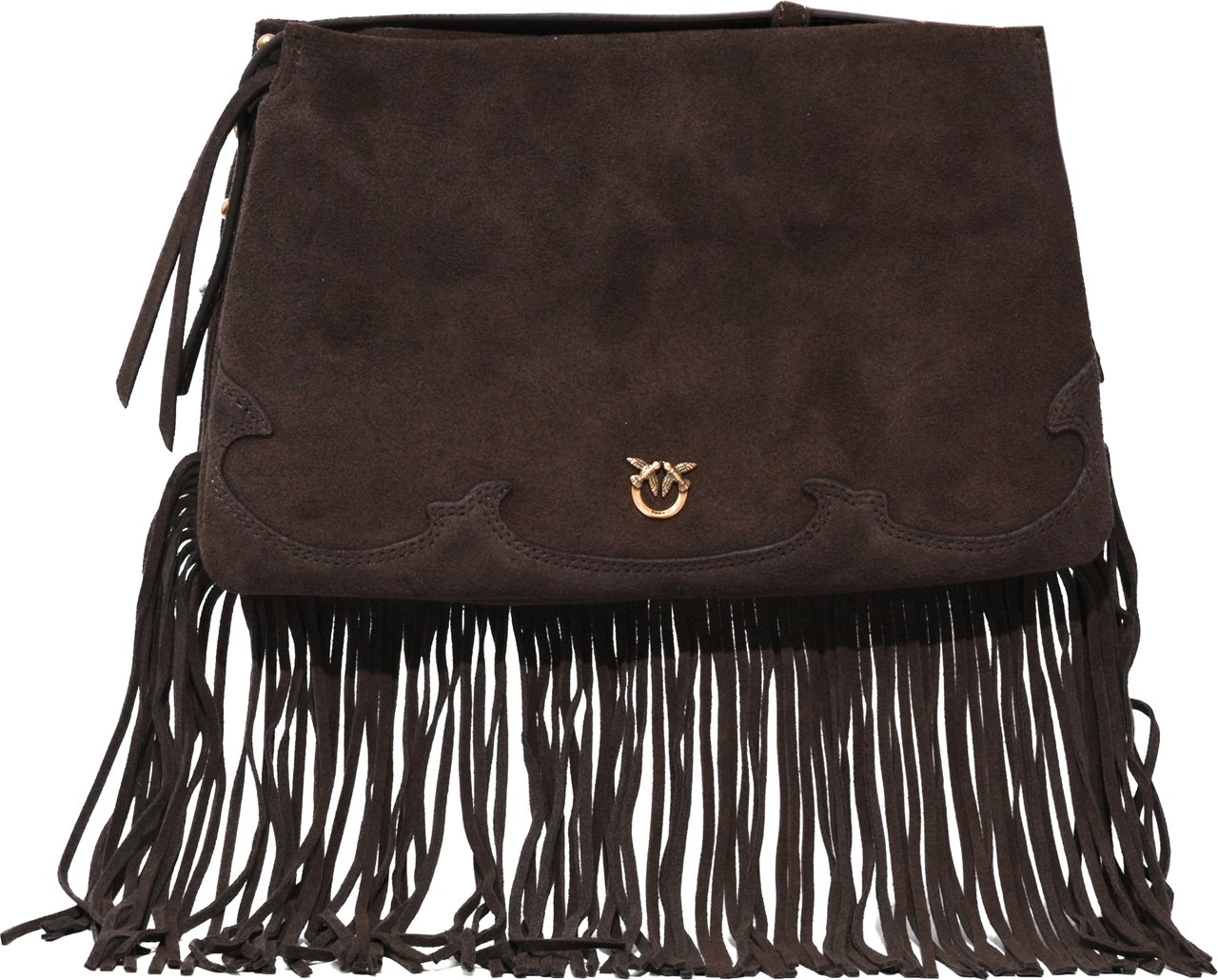 Pinko Bags Marrone Caffe'-Mix Bruin