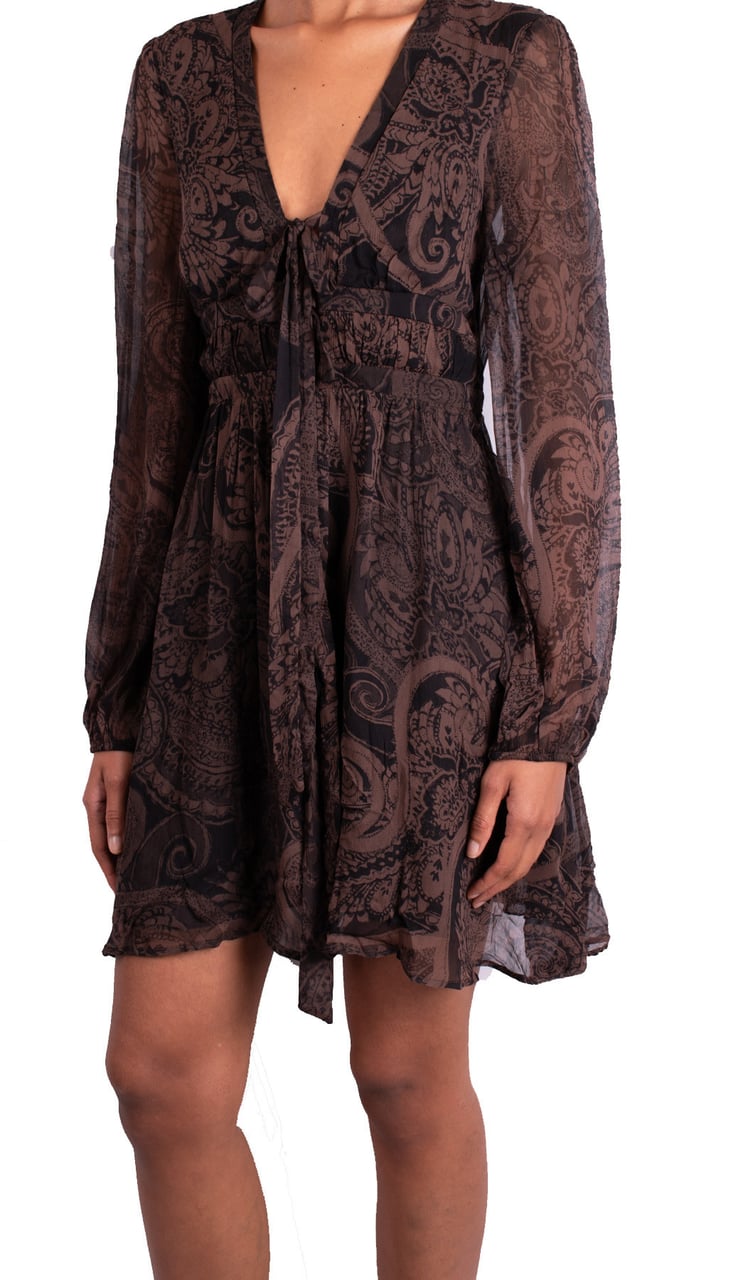 Pinko Dress Brown Bruin
