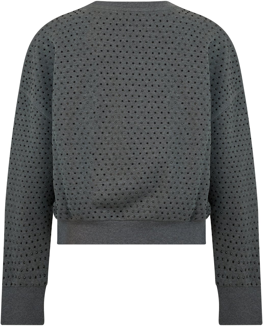 Pinko Sweatshirt with applications Grijs