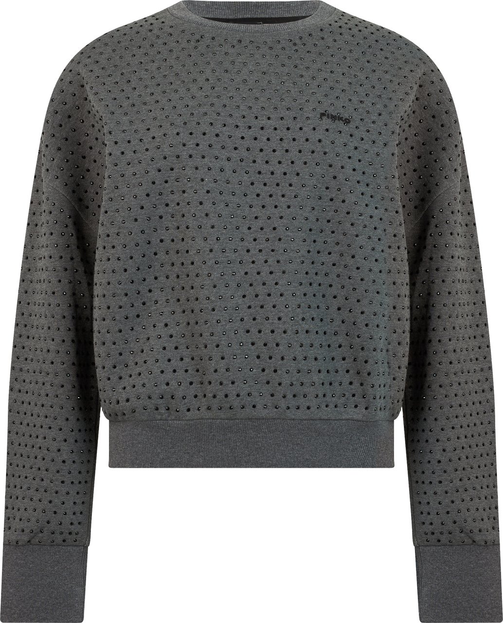 Pinko Sweatshirt with applications Grijs