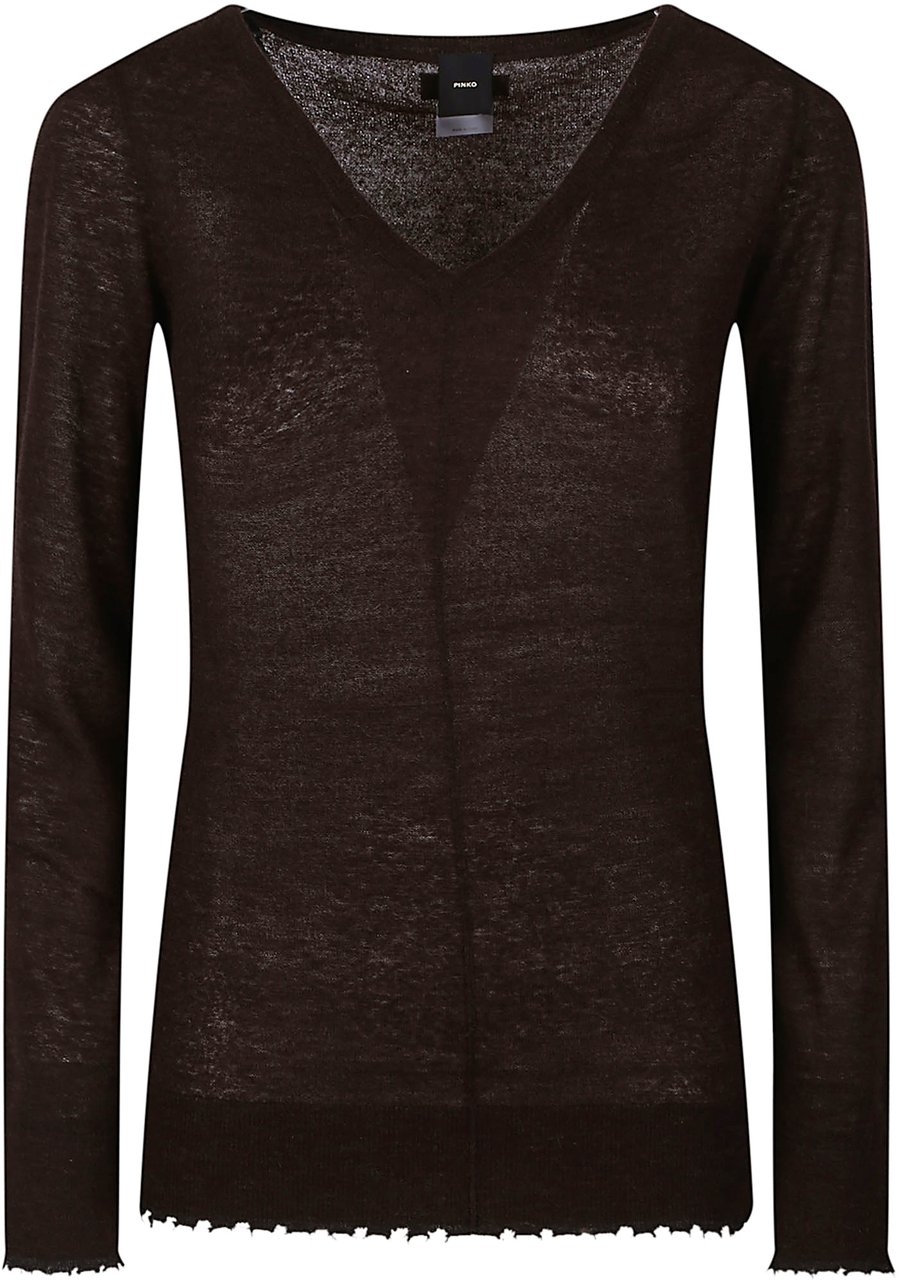 Pinko Oporto V Neck Sweater Brown Bruin