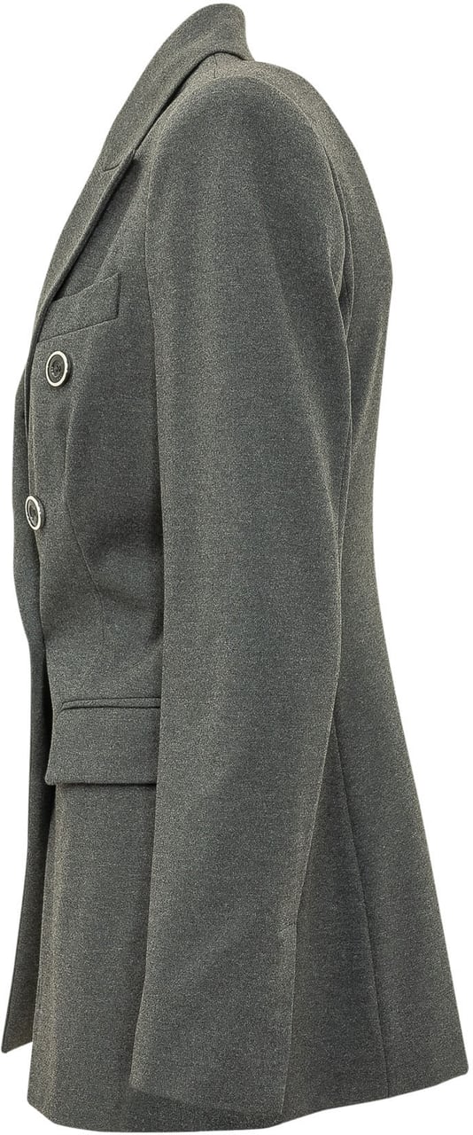 Pinko Blazer Hibiscus Doppiopetto Grijs