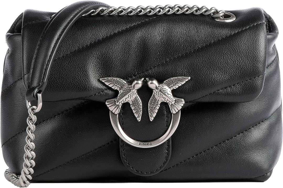 Pinko Bags Nero-Old Silver Zwart
