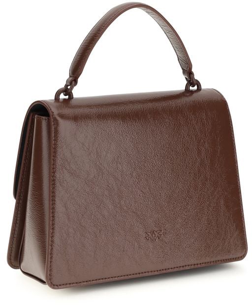 Pinko PINKO Brown Lamb Ovis Aries Aries Handbag Bruin