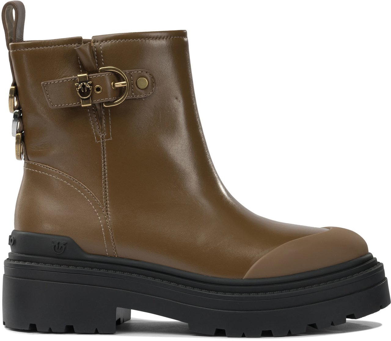 Pinko Ankle boots Bruin