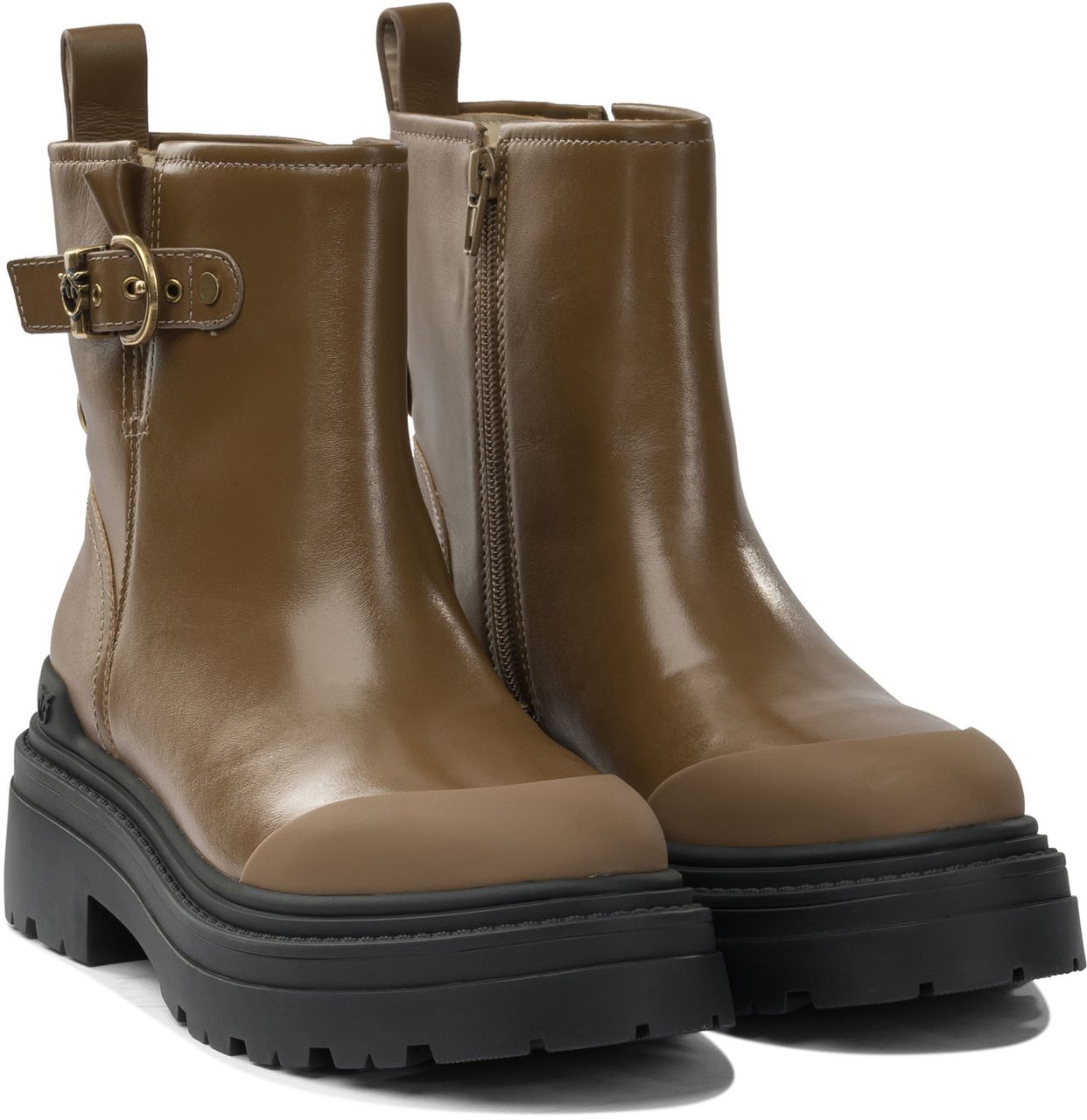 Pinko Ankle boots Bruin