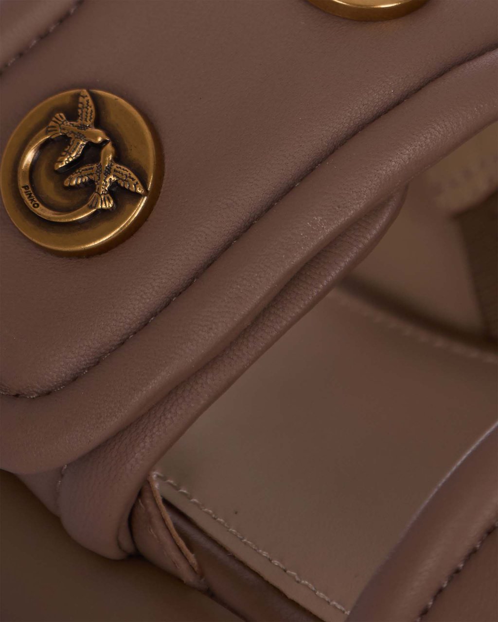 Pinko Sandals Tabaccoantique Gold Bruin