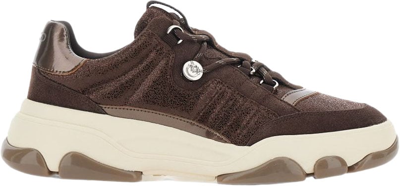 Pinko Sneakers Bruin