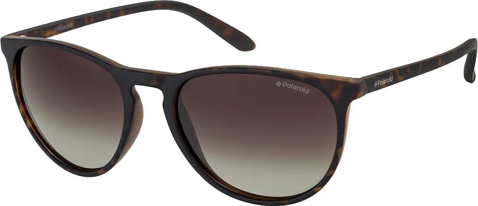 Polaroid Brown Plastic Sunglasses Bruin