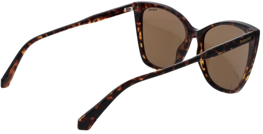 Polaroid Brown Polycarbonate Sunglasses Bruin