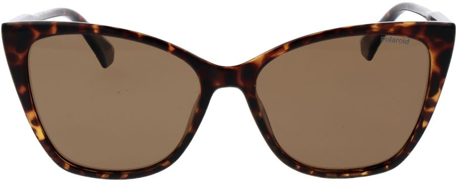 Polaroid Brown Polycarbonate Sunglasses Bruin