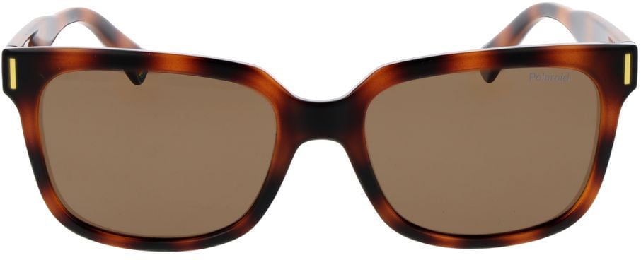 Polaroid Brown Polycarbonate Sunglasses Bruin