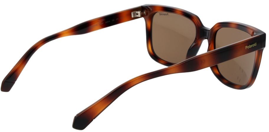 Polaroid Brown Polycarbonate Sunglasses Bruin