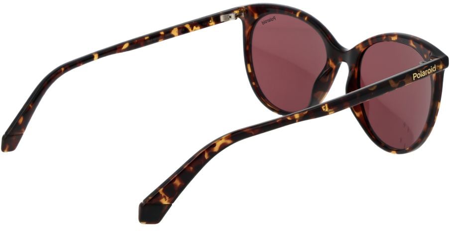 Polaroid Brown Polycarbonate Sunglasses Bruin