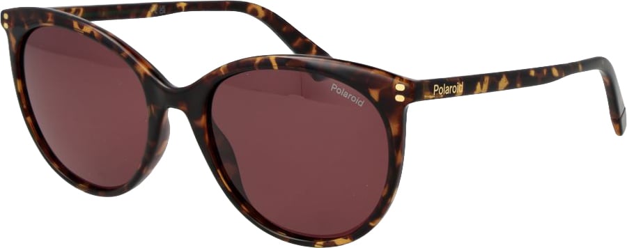 Polaroid Brown Polycarbonate Sunglasses Bruin