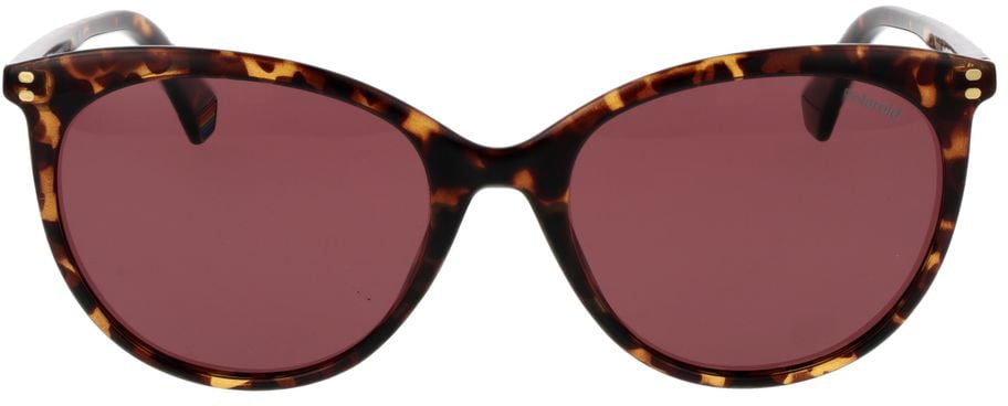 Polaroid Brown Polycarbonate Sunglasses Bruin