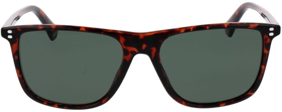 Polaroid Brown Polycarbonate Sunglasses Bruin