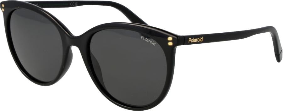 Polaroid Black Polycarbonate Sunglasses Zwart
