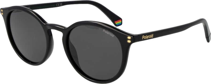 Polaroid Black Polycarbonate Sunglasses Zwart