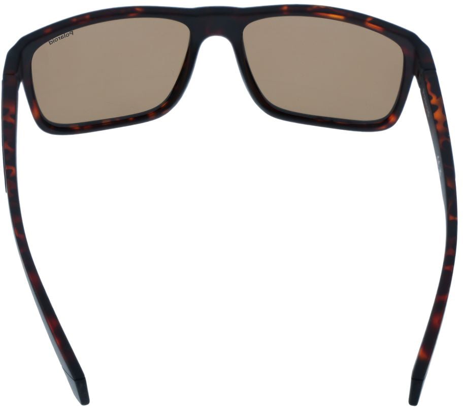 Polaroid Brown Plastic Sunglasses Bruin