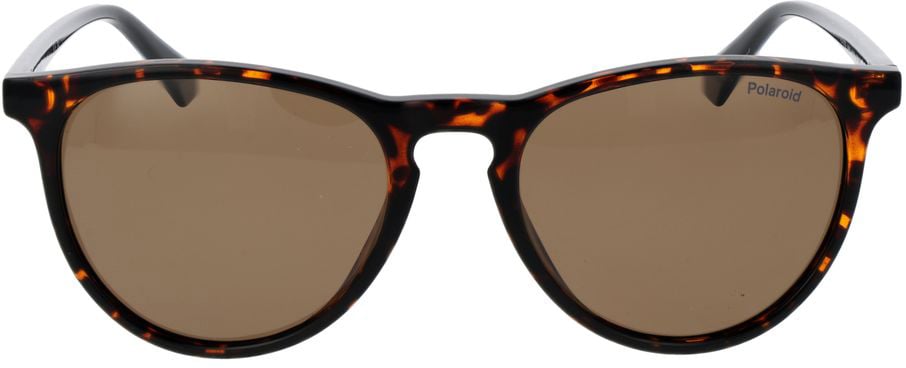 Polaroid Brown Plastic Sunglasses Bruin