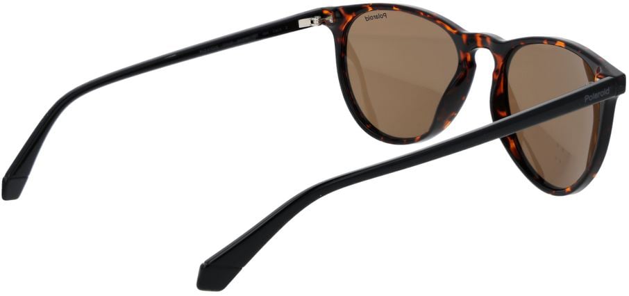 Polaroid Brown Plastic Sunglasses Bruin